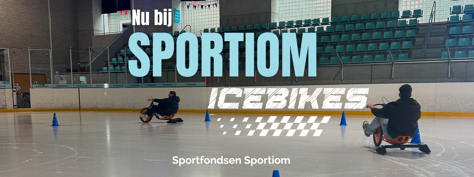 Icebikes website (3)